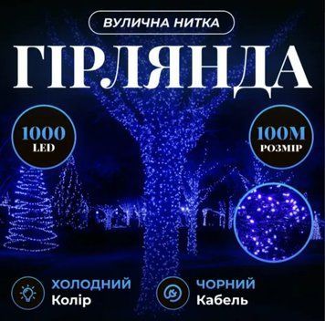 Гірлянда Нитка вулична 1000 LED 100 м чорна, синій GarlandoPro AMB-000639 фото