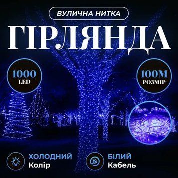 Гірлянда Нитка вулична 1000 LED 100 м біла, синій GarlandoPro AMB-000643 фото