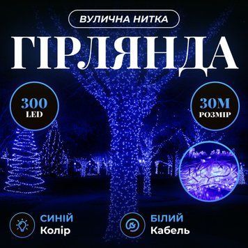 Гірлянда Нитка вулична 300 LED 30 м від мережі біла нитка, синій GarlandoPro AMB-000651 фото